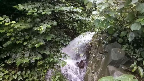 衡阳市罗州山风景名胜旅游区旅行图片 1