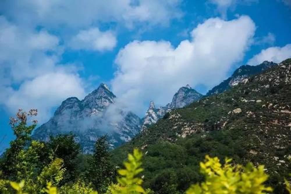 漫山花溪谷景点图片