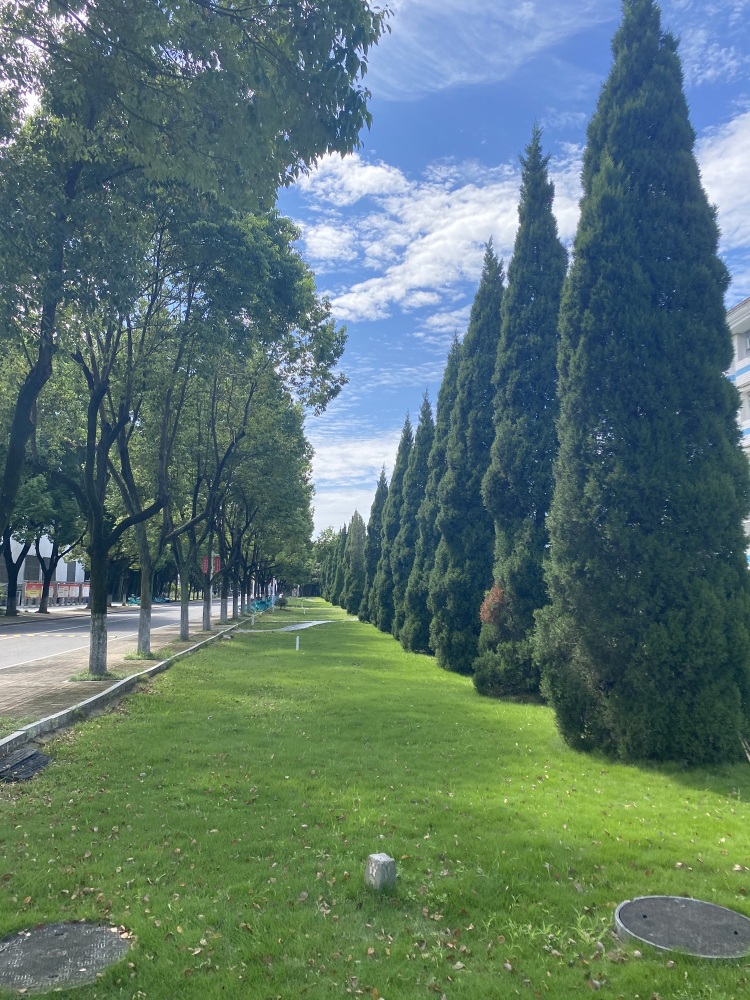 月亮岛景点图片