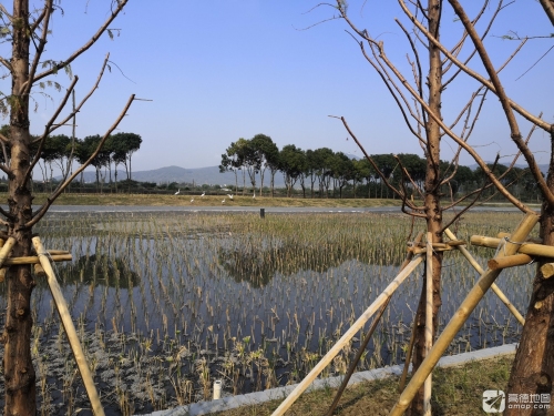 消夏湾湿地公园