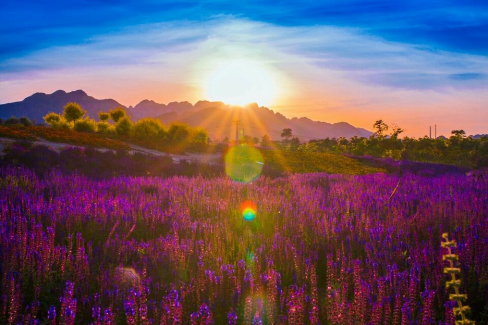 七孔桥花海主题公园景点图片