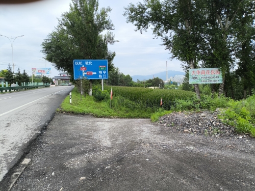 大华村荷花乐园