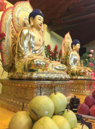 海口慈华寺实景照片
