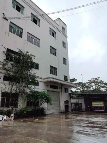 深圳光明区 仓库出租5000㎡ 砖混结构 通风 单层实景图