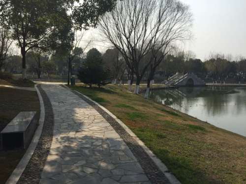 西园旅行图片 3