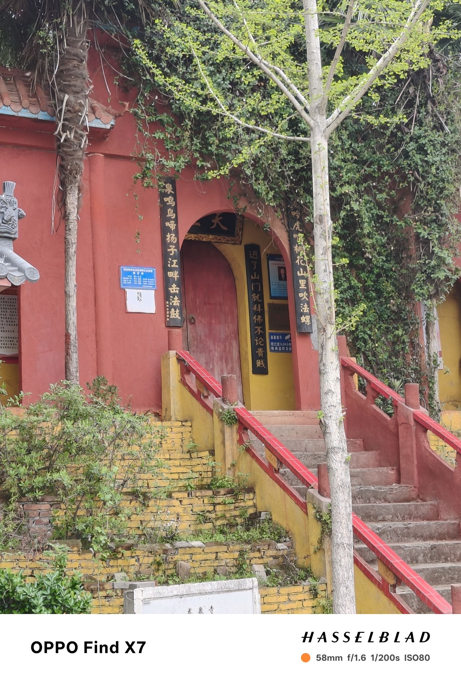 龙泉寺实景照片