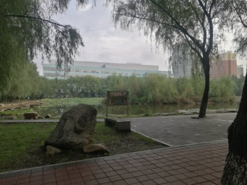 晏湖旅行图片 1