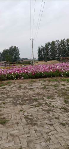 花田小镇旅行图片 1