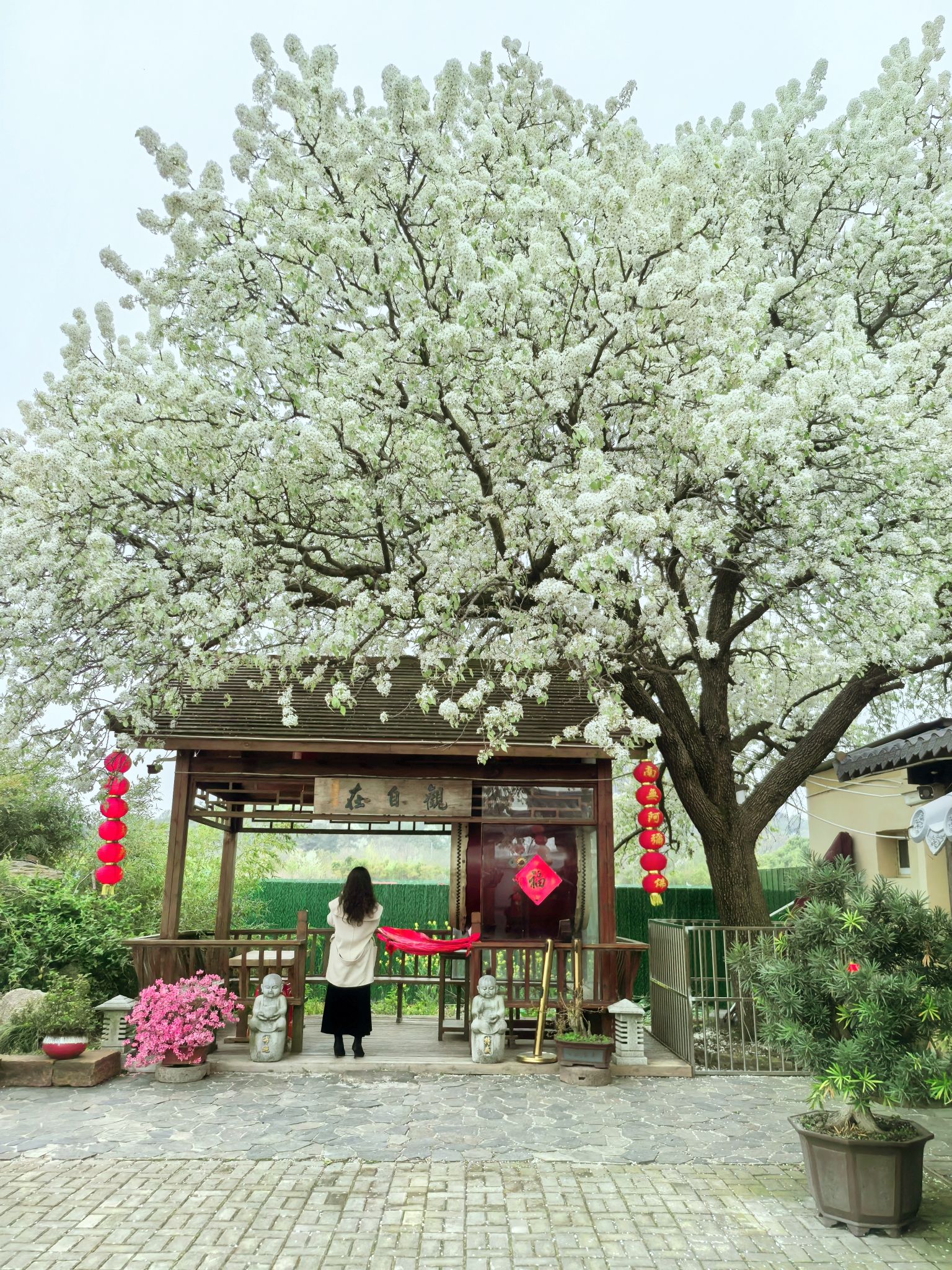 大宝佛寺实景照片