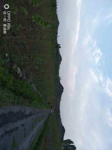 四王冢旅行图片 3