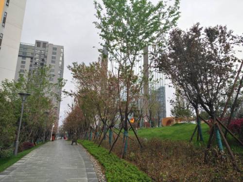 共享花园旅行图片 1