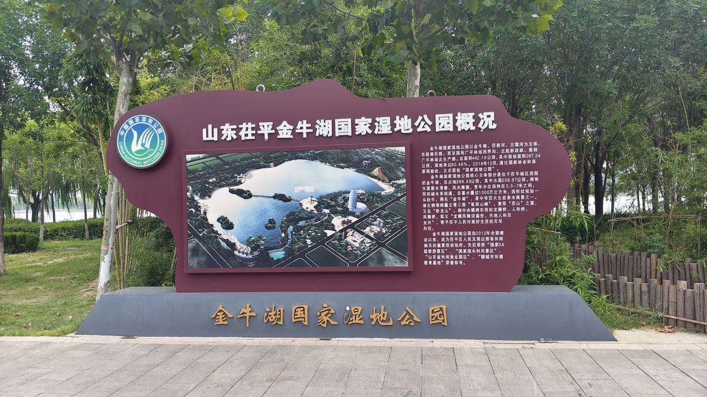 聊城