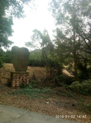 桃源植物园旅行图片 2