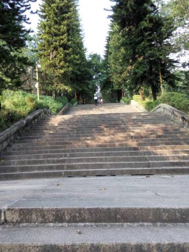 富丽公园旅行图片 2