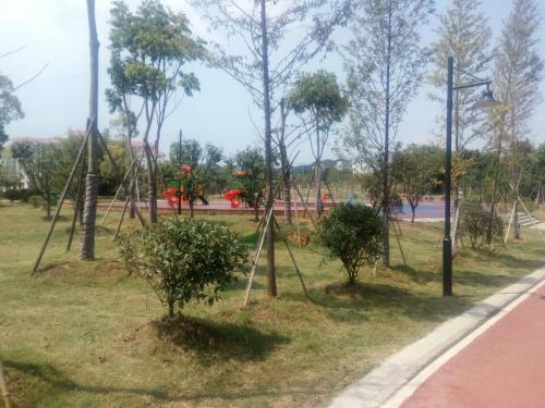 江西宜丰新昌湖省级湿地公园旅行图片 3