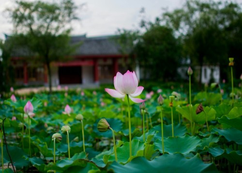 长泰龙人古琴文化村旅行图片 2