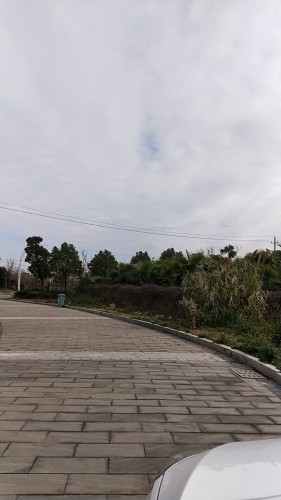 瓯江口新月公园旅行图片 1