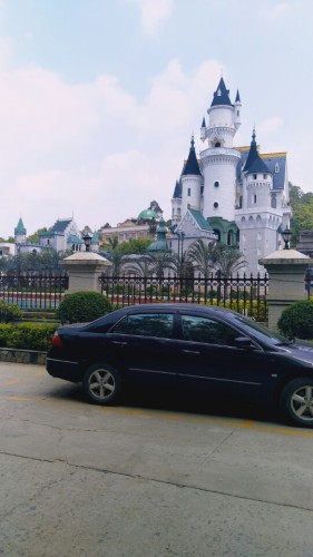 桃源植物园旅行图片