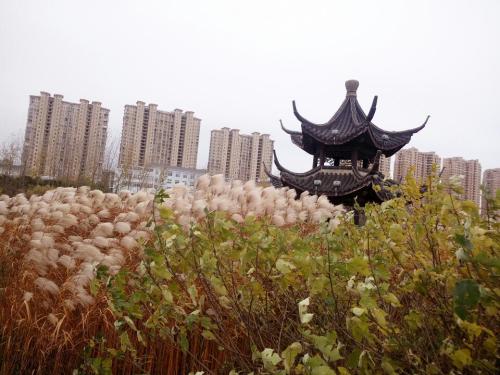 东方母爱公园旅行图片 1