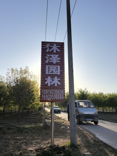定州沐泽园林