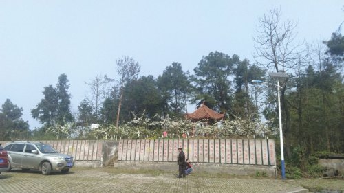 永新镇梨花山国家AAA旅游风景区旅行图片 2