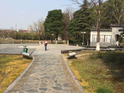 西园旅行图片 2