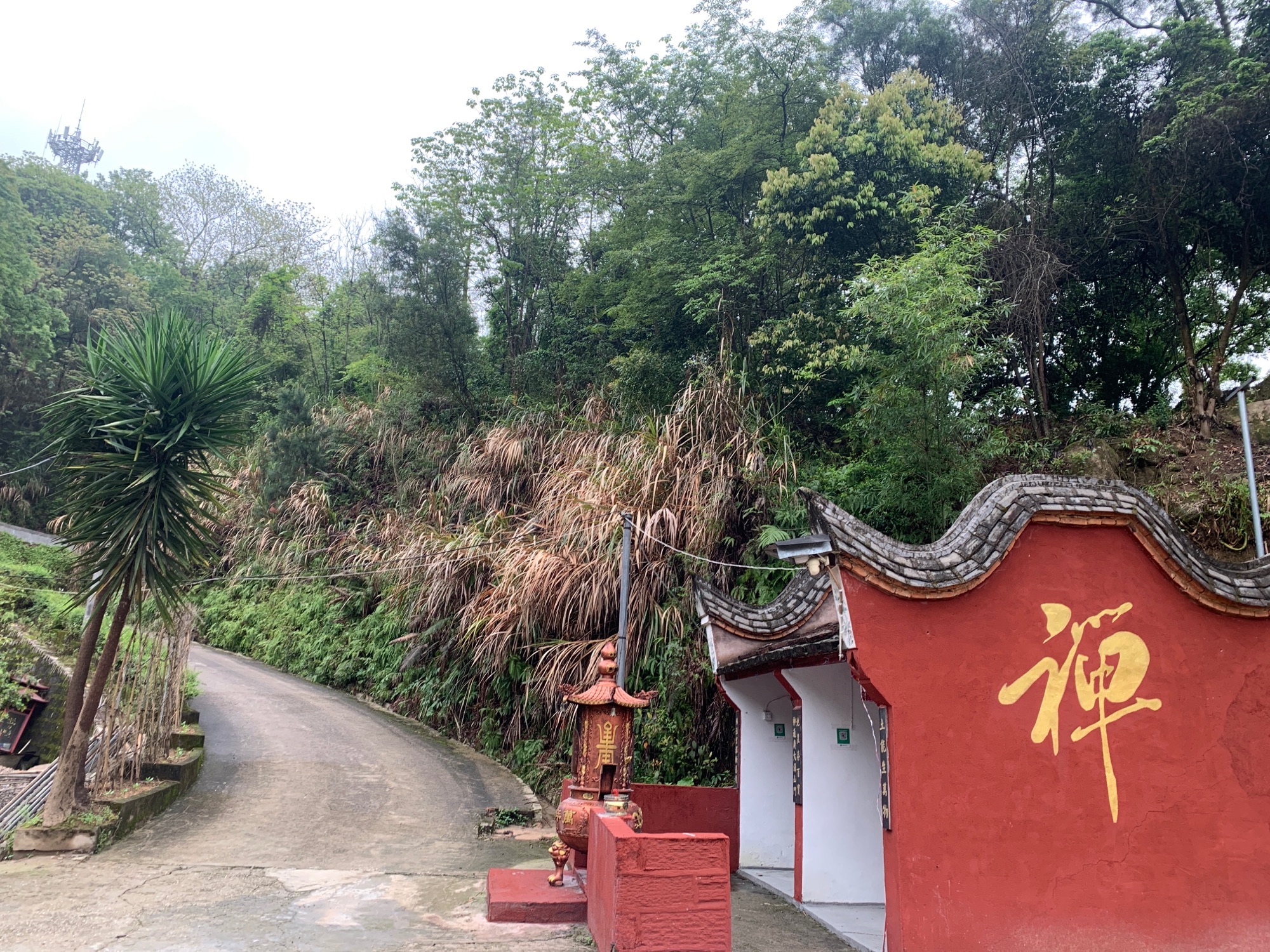 慈云禅寺实景照片