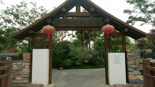 丁连村民公园旅行图片 2