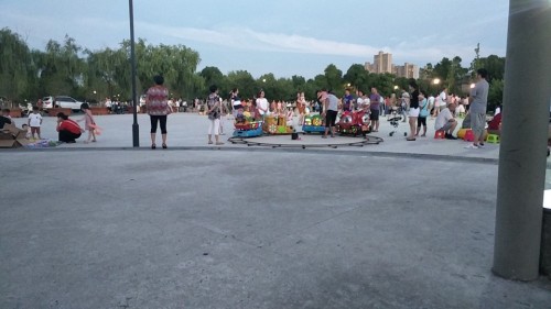 善爱园旅行图片 2