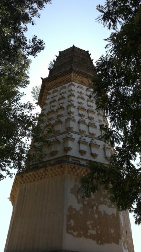 修德寺塔旅行图片 1