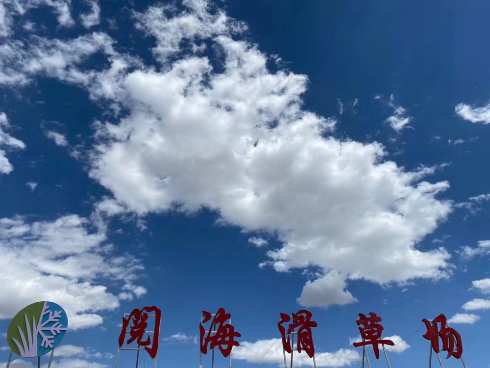 阅海滑草场景点图片