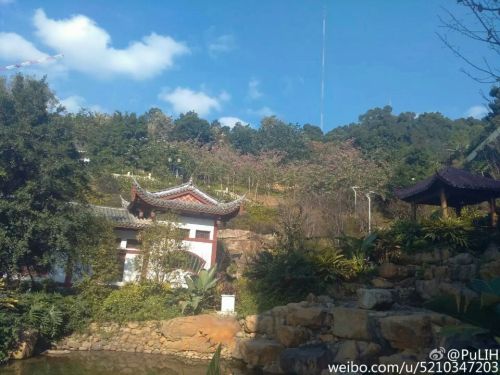 马江渡广场旅行图片 2