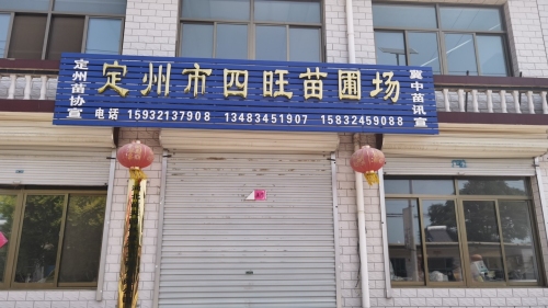 定州市四旺苗圃场