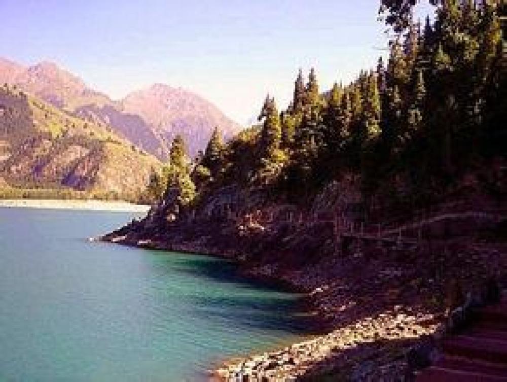 南山牧场西白杨沟景区景点图片