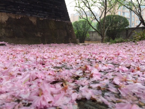 都泗门旅行图片 1