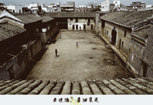 光二大屋旅行图片 2