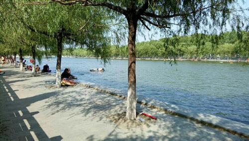 天鹅湖旅行图片 2