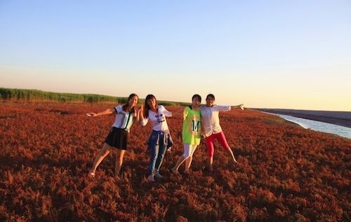 黄河岛旅行图片 1