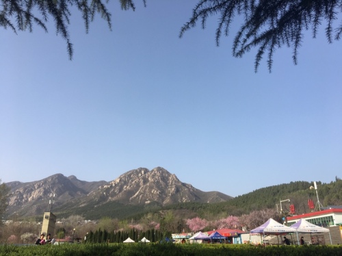 迎仙公园旅行图片 3