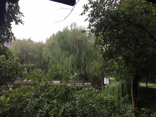 望春园旅行图片 1