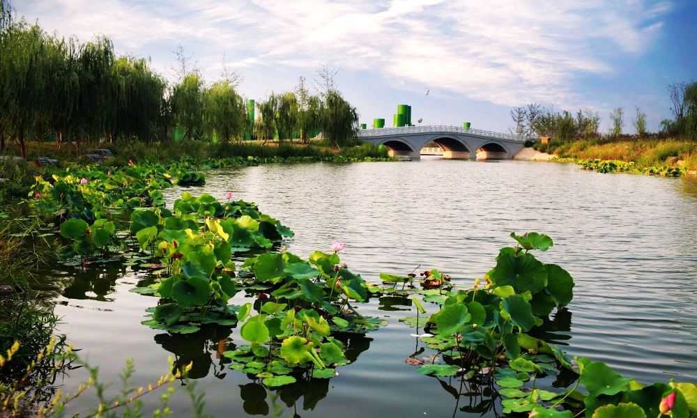 西安浐灞国家湿地公园景点图片
