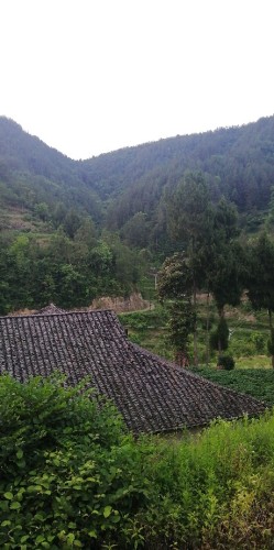 杨坪河坎生态区旅行图片 2