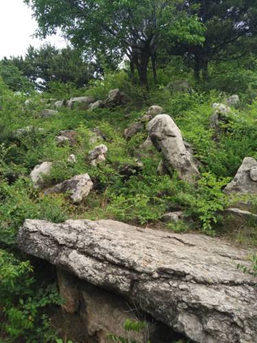 元古奇石林风景区旅行图片 2