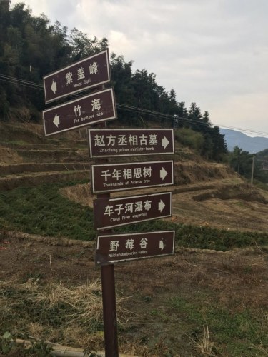 衡山野莓谷旅行图片 1