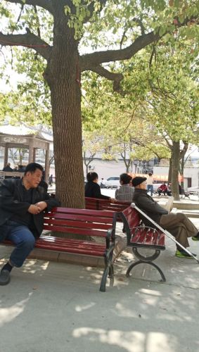 织里人民公园旅行图片 1