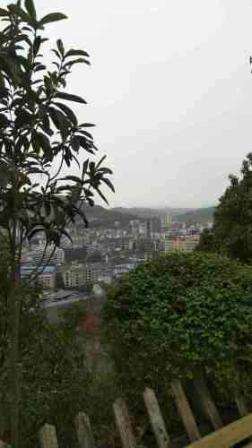 鹤鸣山旅行图片 2