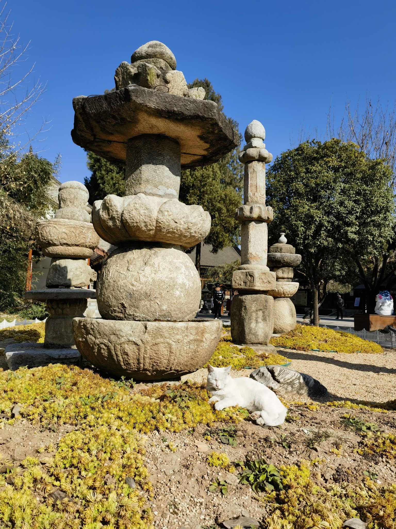 清宁净寺实景照片