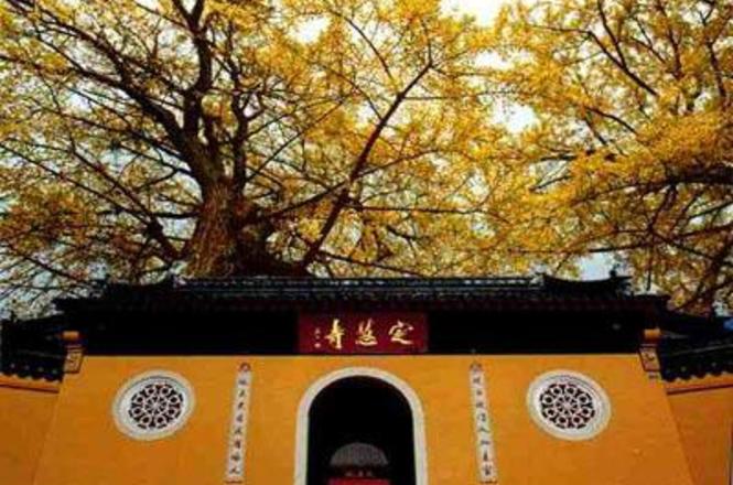 定慧寺实景照片