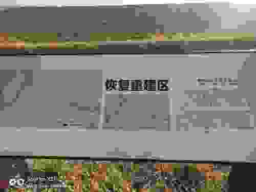 西日晒沭河古道景区旅行图片 3