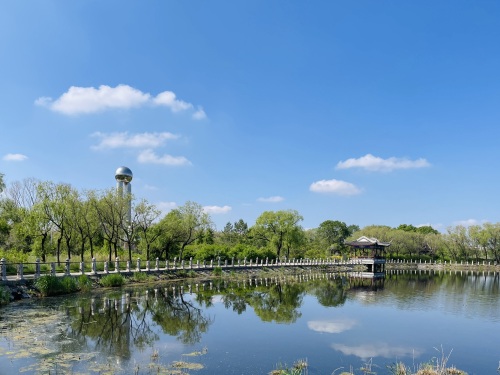 大化公园